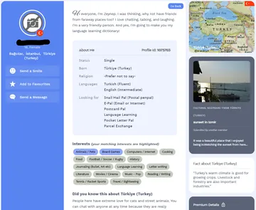 Original-Website zum Vergleich: Ein anderes Profil